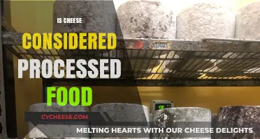 Is Cheese Processed? Understanding Its Production and Classification