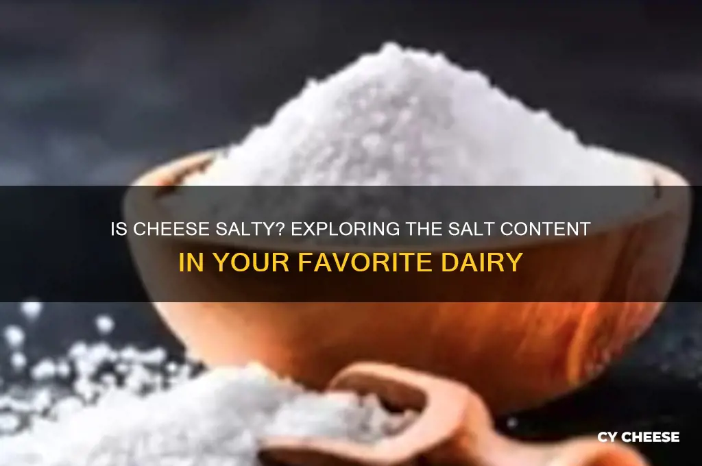is cheese considered salty