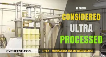 Is Cheese Ultra-Processed? Unraveling the Truth Behind Your Favorite Dairy