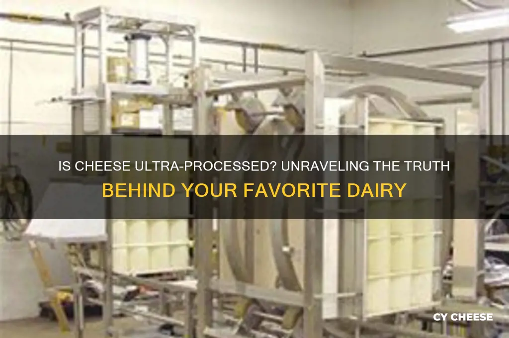 is cheese considered ultra processed