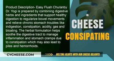 Is Cheese Constipating? Unraveling the Dairy and Digestion Debate