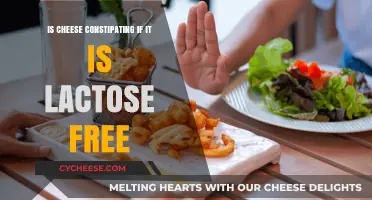 Cheese and Constipation: Lactose-Free but Constipating?
