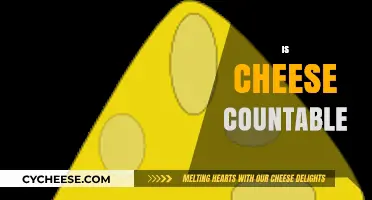 Is Cheese Countable? Exploring the Grammar of Dairy Delights