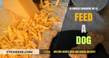 Can Dogs Eat Cheese Crackers? Safety Tips for Pet Owners