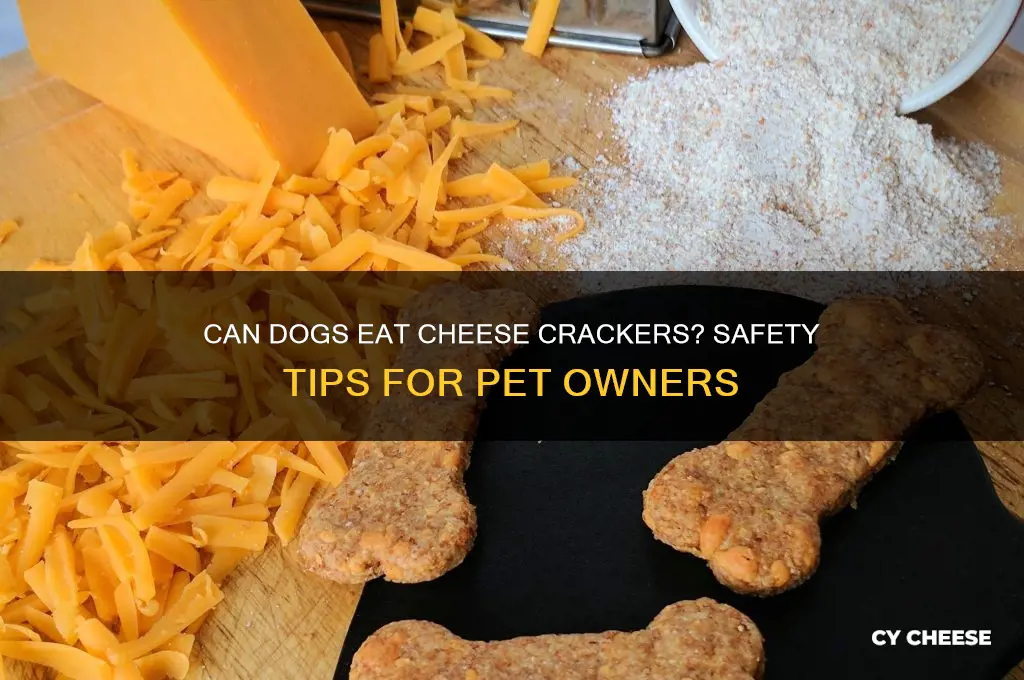 is cheese crackers ok to feed a dog