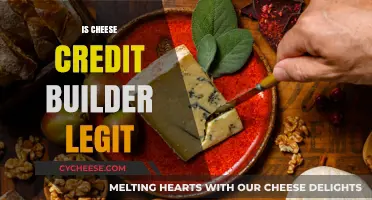 Is Cheese Credit Builder Legit? A Comprehensive Review and Analysis