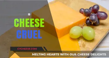 Is Cheese Cruel? Exploring the Ethics of Dairy Production