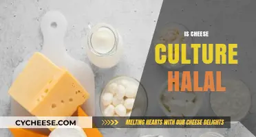 Is Cheese Culture Halal? Exploring Ingredients and Religious Compliance