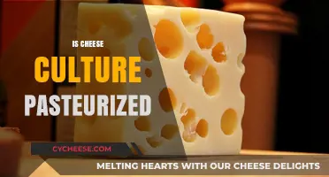 Is Cheese Culture Pasteurized? Unraveling the Truth Behind Cheese Making
