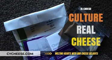 Is Cheese Culture Real Cheese? Unraveling the Dairy Debate