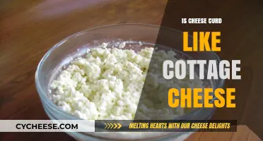 Cheese Curds vs. Cottage Cheese: Texture, Taste, and Key Differences