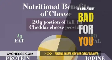 Cheese Daily: Is It Bad for Your Health?