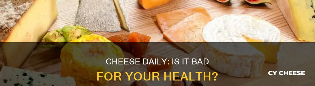 is cheese daily bad for you