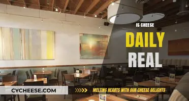 Is Cheese Daily Real? Unraveling the Truth Behind the Myth