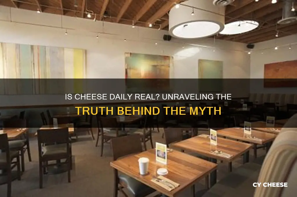 is cheese daily real