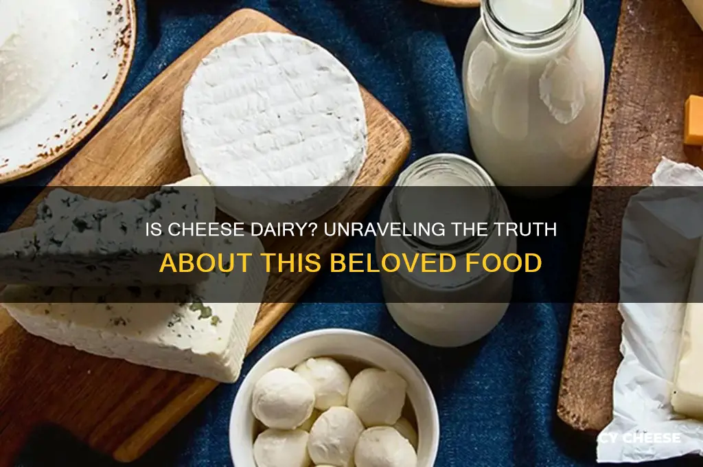 is cheese dairy food
