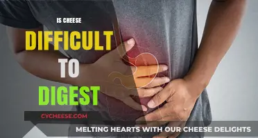 Is Cheese Hard to Digest? Unraveling the Dairy Dilemma