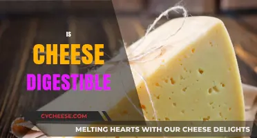 Is Cheese Digestible? Unraveling the Truth About Cheese Digestion