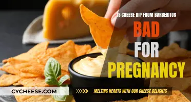 Cheese Dip During Pregnancy: Is It Safe?
