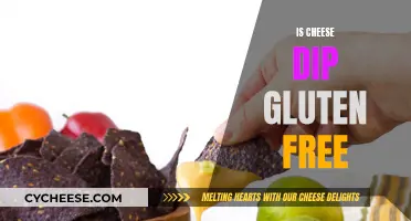 Cheese Dip: A Gluten-Free Delight?
