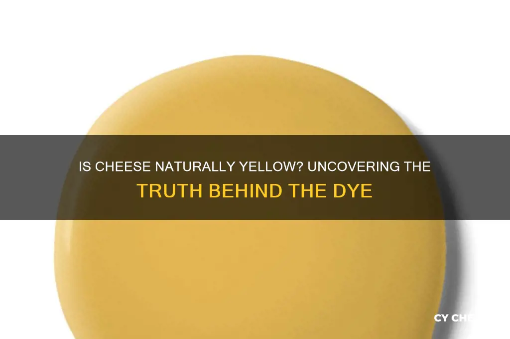 is cheese dyed yellow