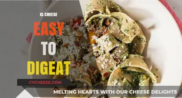 Is Cheese Easy to Digest? Exploring Its Impact on Your Gut