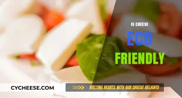 Is Cheese Eco-Friendly? Uncovering the Environmental Impact of Dairy