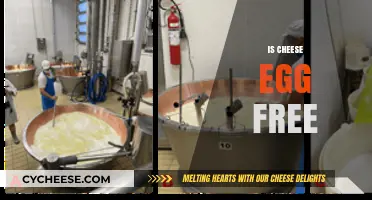 Cheese and Eggs: What's the Connection?