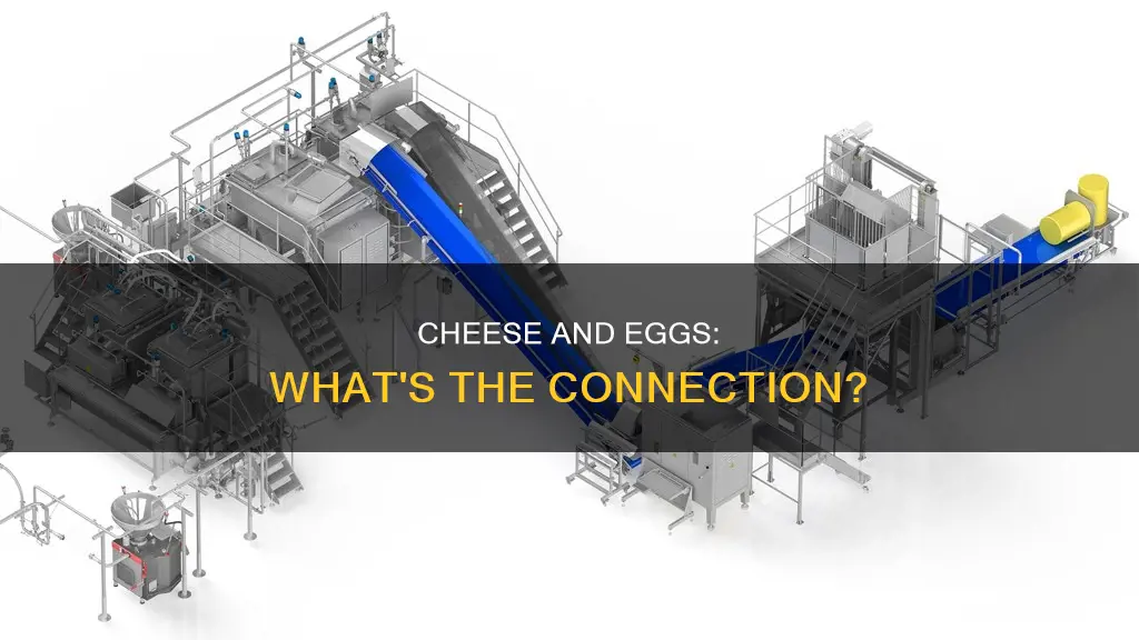 is cheese egg free