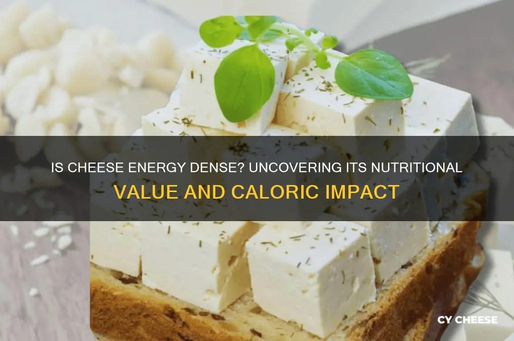 is cheese energy dense