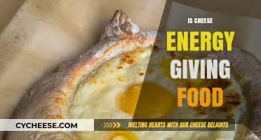 Cheese as Energy Fuel: Nutritional Benefits and Facts Revealed