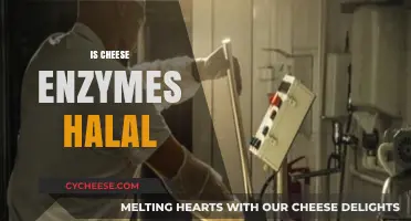 Is Cheese Enzymes Halal? Exploring the Islamic Perspective on Cheese Production