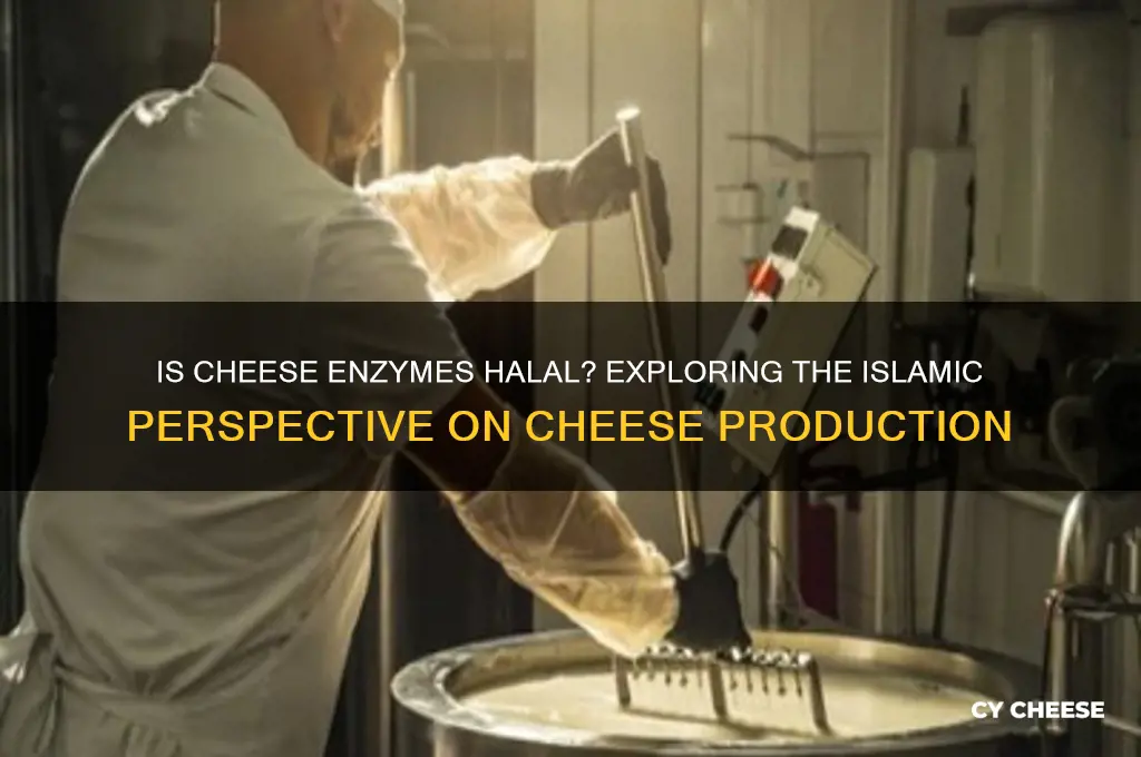 is cheese enzymes halal