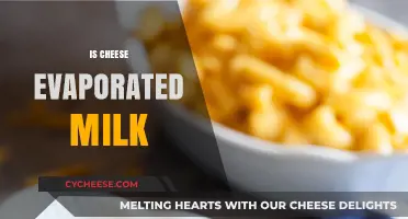 Is Cheese Evaporated Milk? Unraveling the Dairy Mystery