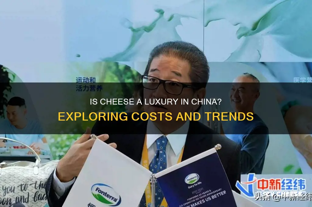 is cheese expensive in china