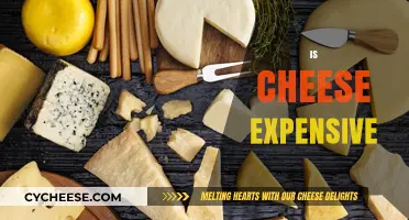 Is Cheese Expensive? Exploring Costs, Types, and Budget-Friendly Options