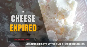 Is Your Cheese Expired? How to Tell and Stay Safe