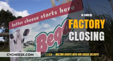 Is the Cheese Factory Closing? Unraveling the Rumors and Facts