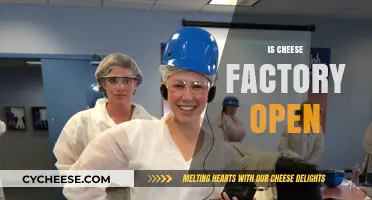 Is the Cheese Factory Open? Check Hours and Availability Now