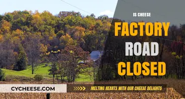 Is Cheese Factory Road Closed? Latest Updates and Travel Advice