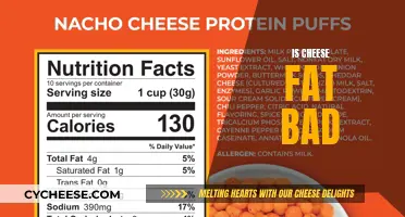 Cheese Fat: Healthy or Unhealthy?