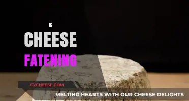 Is Cheese Fattening? Unraveling the Truth About Dairy and Weight Gain