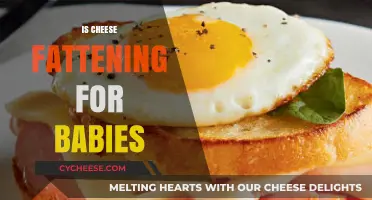 Is Cheese Fattening for Babies? Nutrition Facts and Healthy Tips