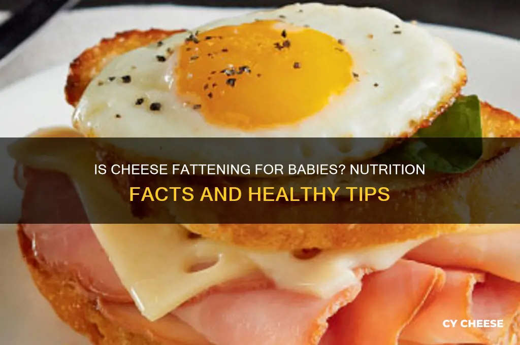 is cheese fattening for babies