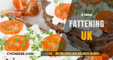 Is Cheese Fattening? Uncovering the Truth for UK Cheese Lovers