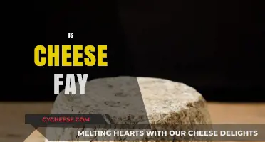 Is Cheese Fattening? Unraveling the Truth About Cheese and Weight Gain