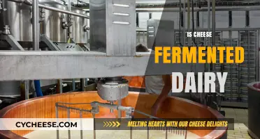 Is Cheese Fermented Dairy? Unraveling the Truth Behind Your Favorite Food