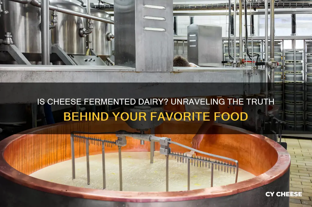 is cheese fermented dairy