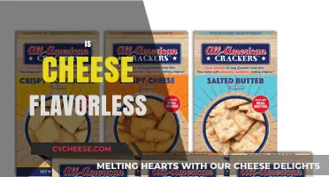 Is Cheese Flavorless? Debunking the Myth of Bland Dairy Delights