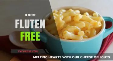 Cheese and Gluten: What's the Connection?